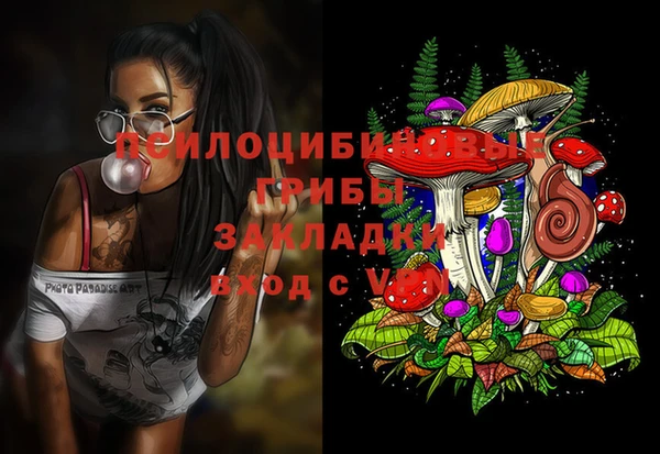 крисы Михайлов