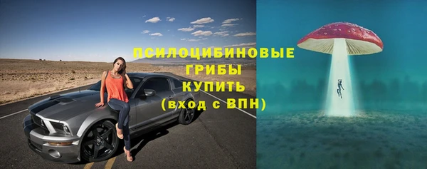 молекула духа Михайловка